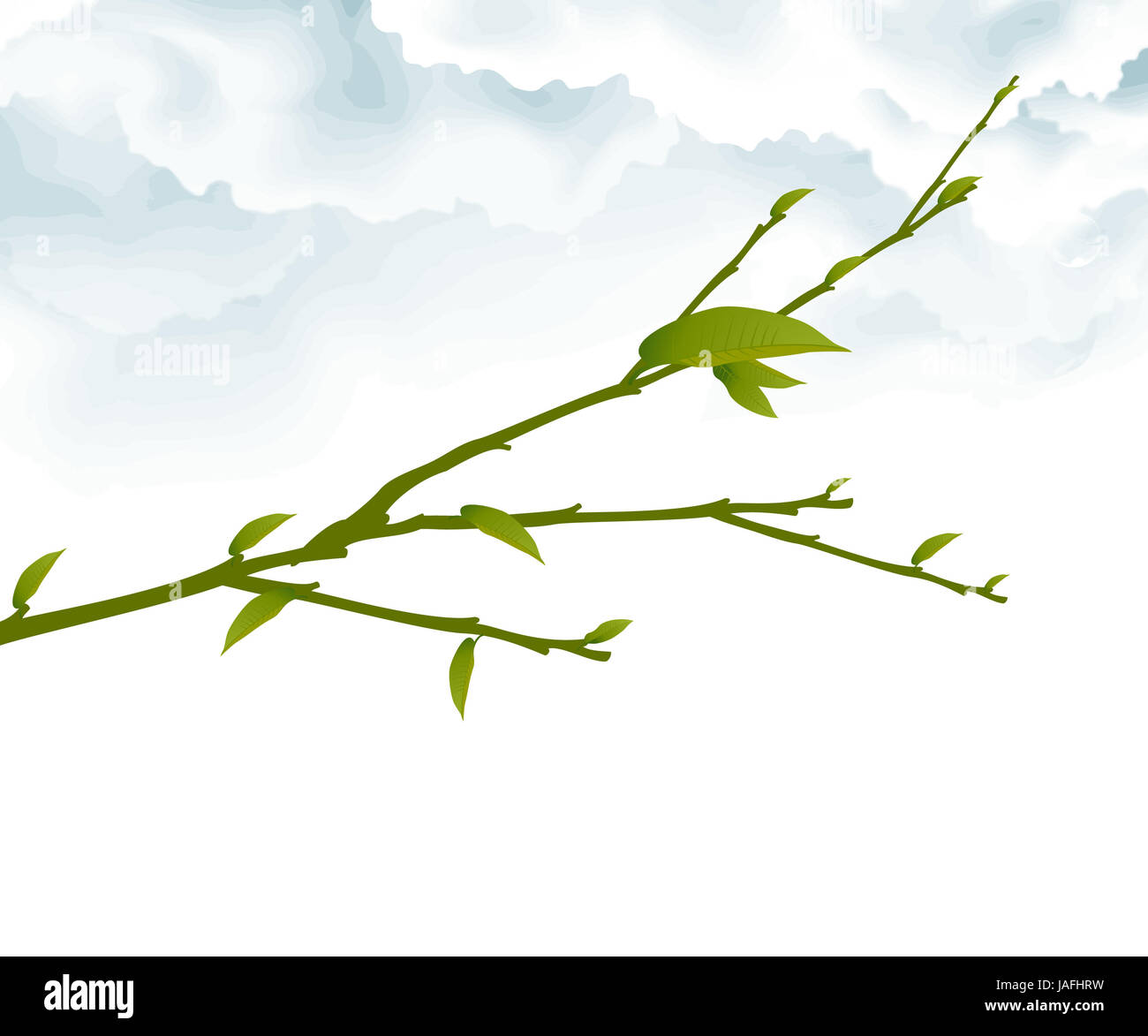 Tree Branch with Green Leaves Stock Photo - Alamy