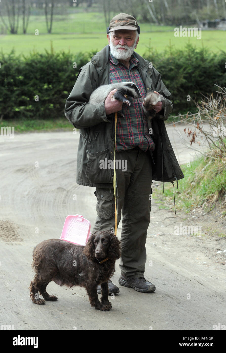 Dr Andrzej Krzywinski with a spaniel, who had suffered an imaginary pregnancy, and is now caring for two orphaned animals - a marten and a badger - at the Park Wild Animals Park in Kadzidlowo, Poland.  Featuring: Andrzej Krzywinski Where: Kadzidlowo, Masuria, Poland When: 29 Apr 2017 Credit: Newspix.pl/WENN.com  **Only available for publication in UK, Austria, Switzerland** Stock Photo