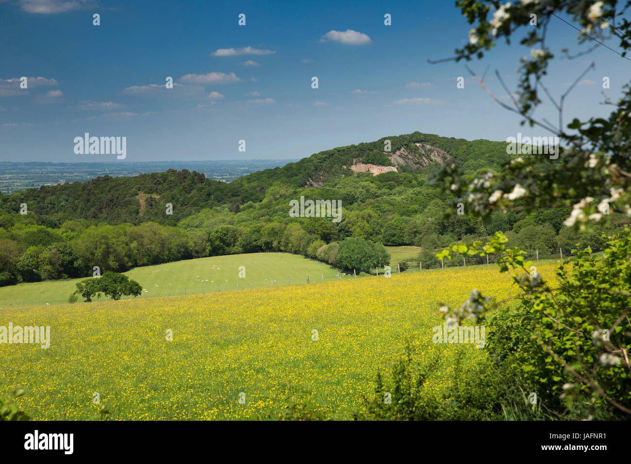 UK, England, Shropshire, Little Wenlock, Ercall Hill and quarry from