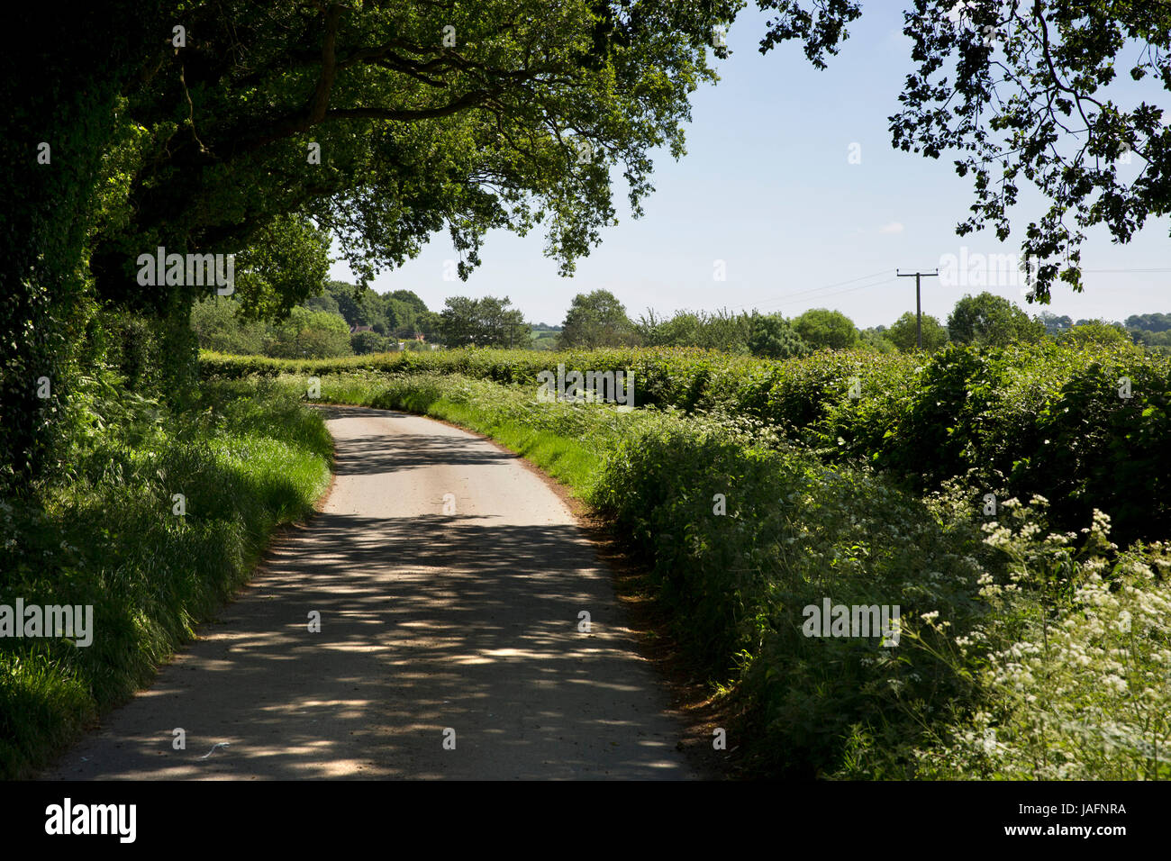 UK, England, Shropshire, The Wrekin, Little Wenlock, Spout Lane Stock