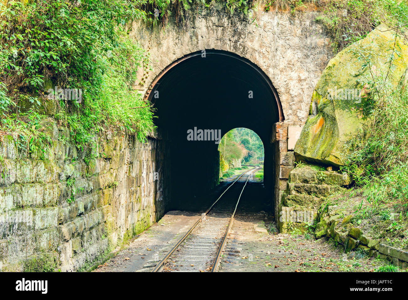 Tunnel and steam narrowgauge railway Stock Photo Alamy