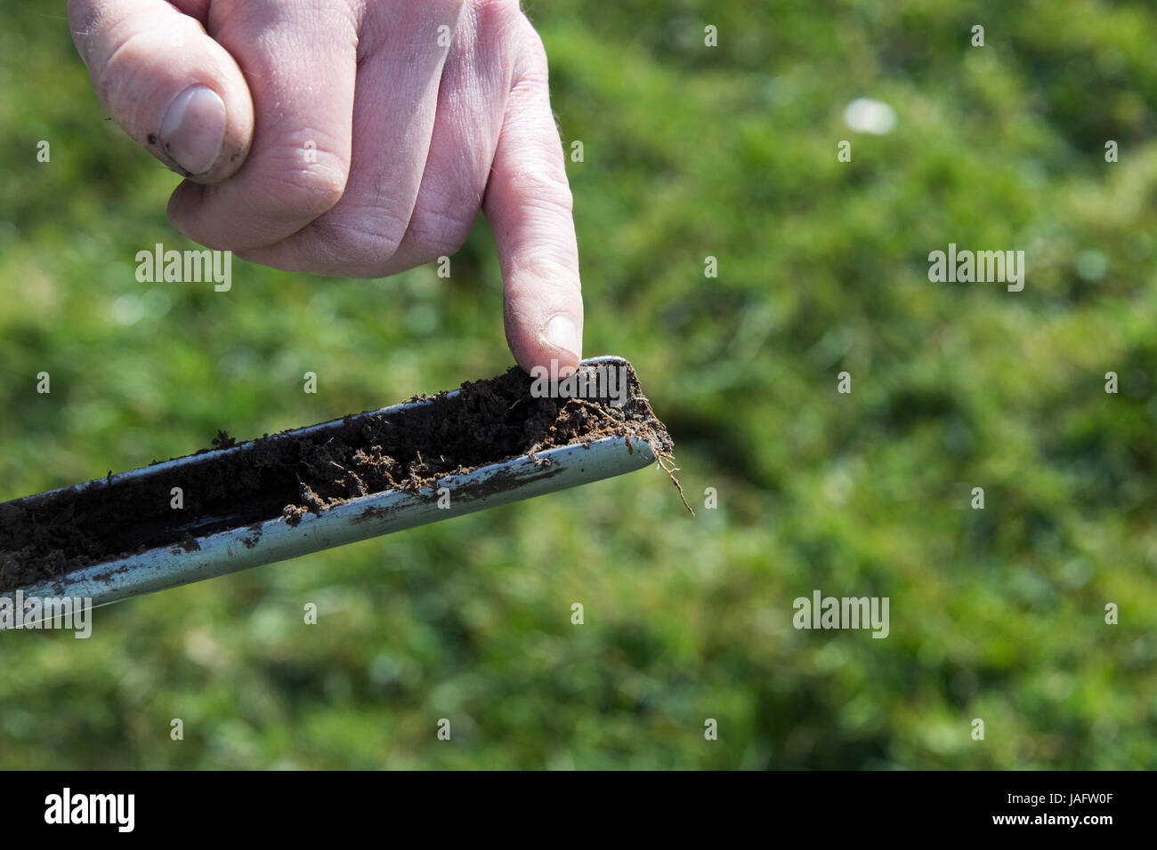 Agricultural expert taking soil samples for testing off a pasture in