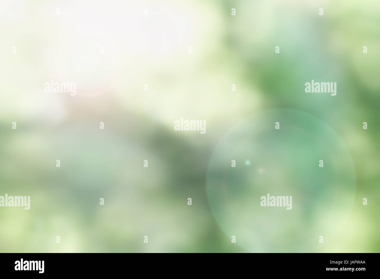 Abstract background of blurred circular green bokeh circles for summer backgrounds. Stock Photo