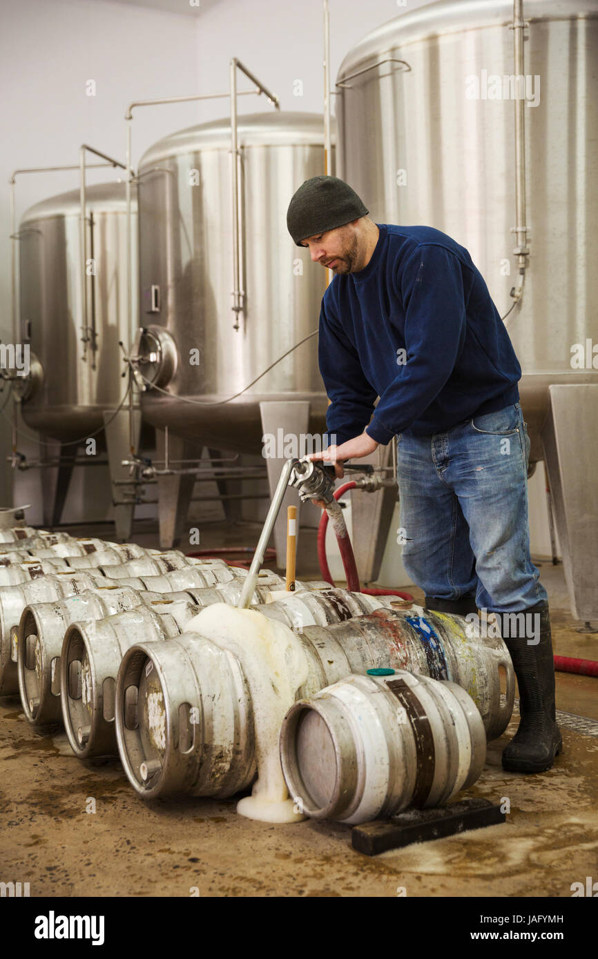 Man filling metal beer kegs with foaming beer from the fermentation chambers in a brewery Stock