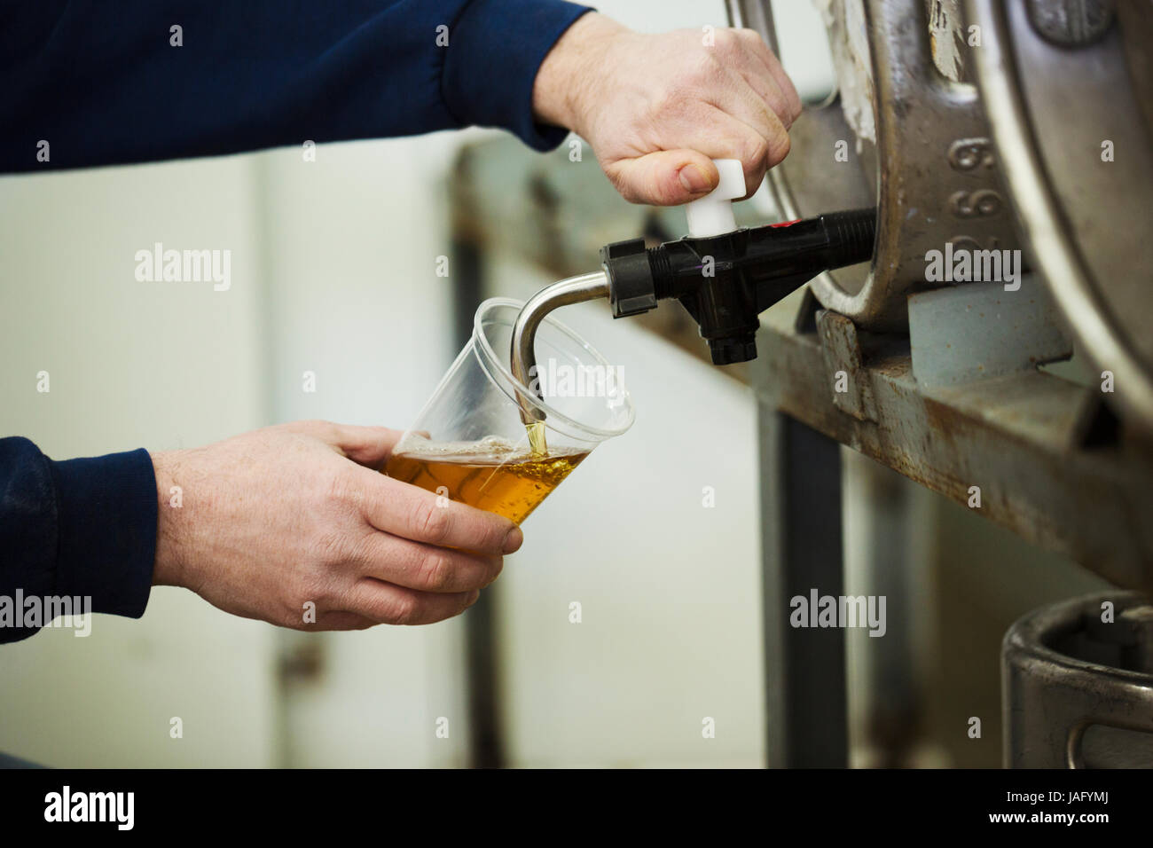 Man drawing foaming amber liquid, beer from a metal keg in a brewery for testing Stock Photo Alamy