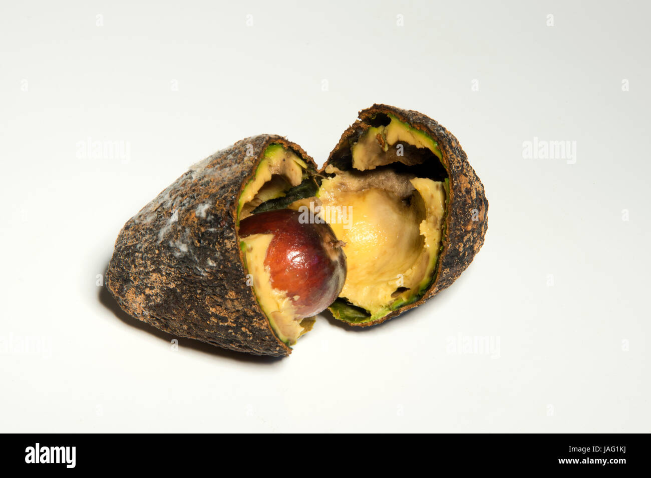 Verdorben High Resolution Stock Photography And Images Alamy