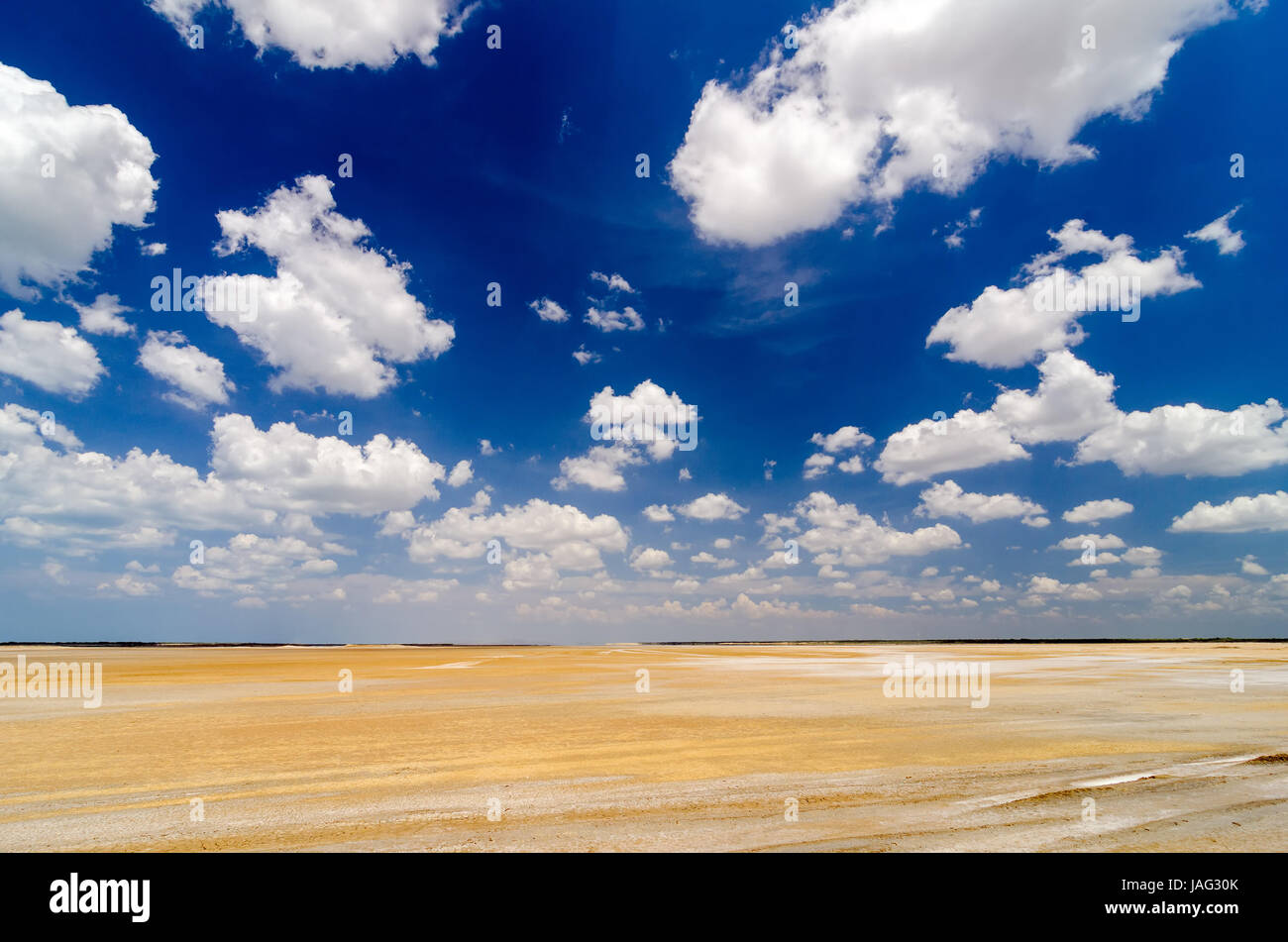 Staples - Flatlands - Brooklyn, NY