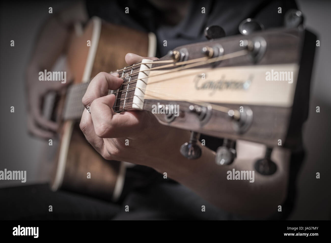 Guitar - A fret is a raised element on the neck of a stringed instrument. Stock Photo