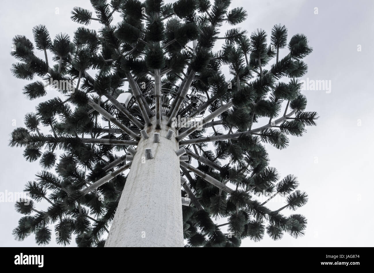 telecommunication tower arial disguised as tree Stock Photo