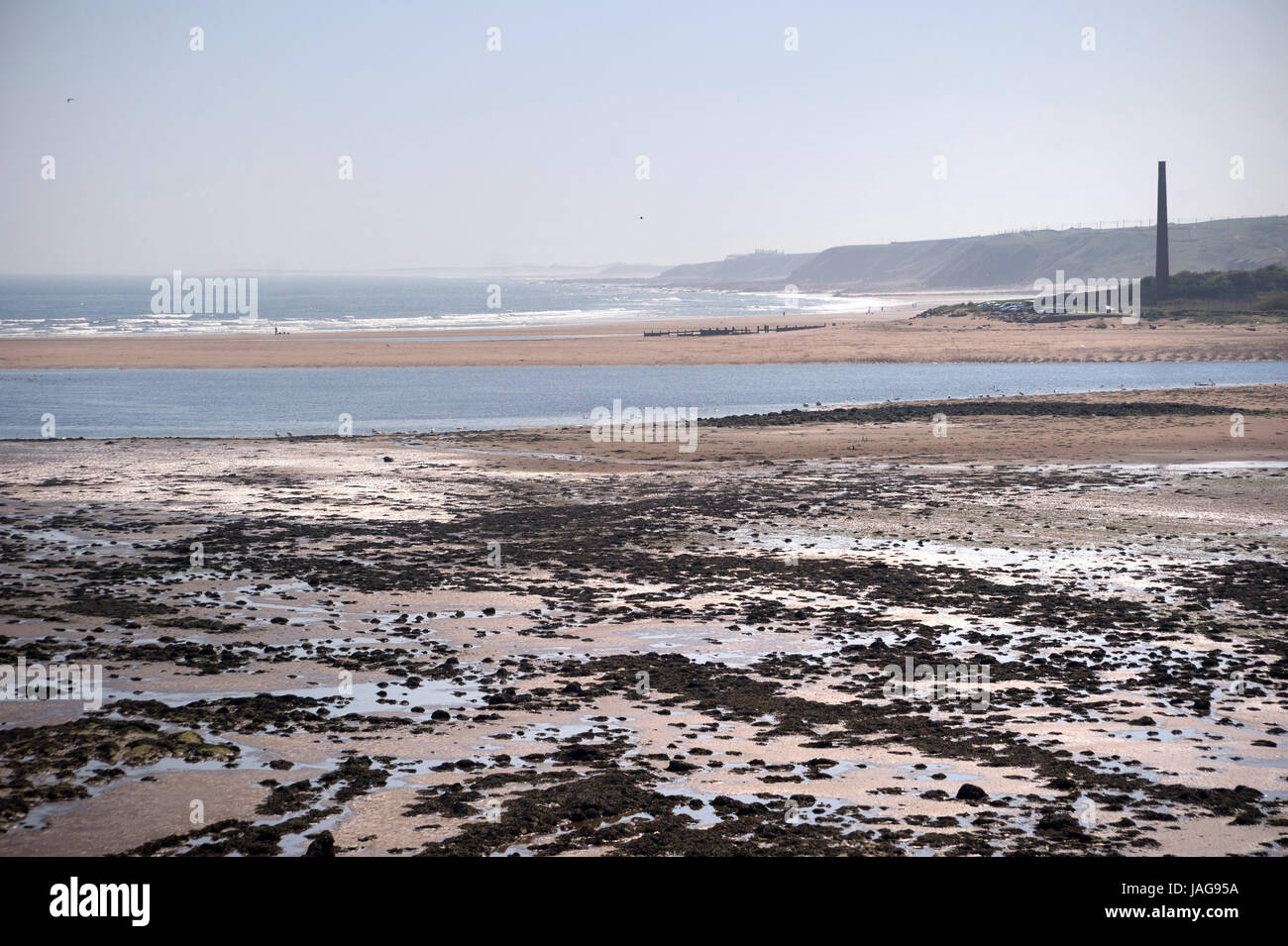 Spittal Point Spittal point from Berwick-upon-Tweed Stock Photo - Alamy