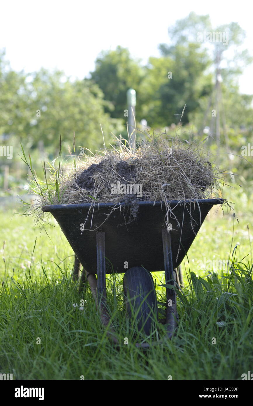 wheelbarrow in garden Stock Photo Alamy