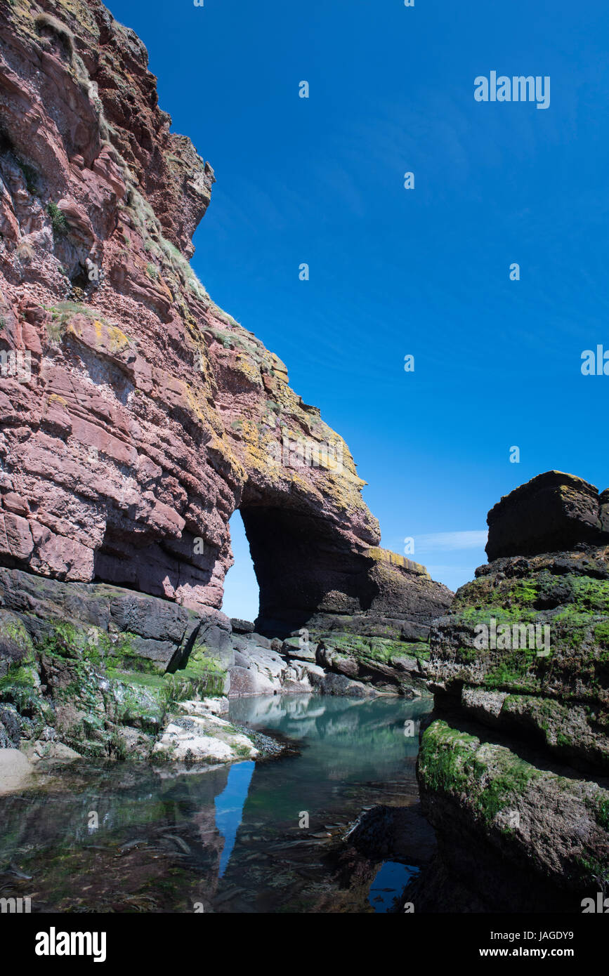 Auchmithie Bay red sandstone cliffs, near Arbroath, Angus, Scotland. Auchmithie is where the Arbroath Smokie originated from. Stock Photo
