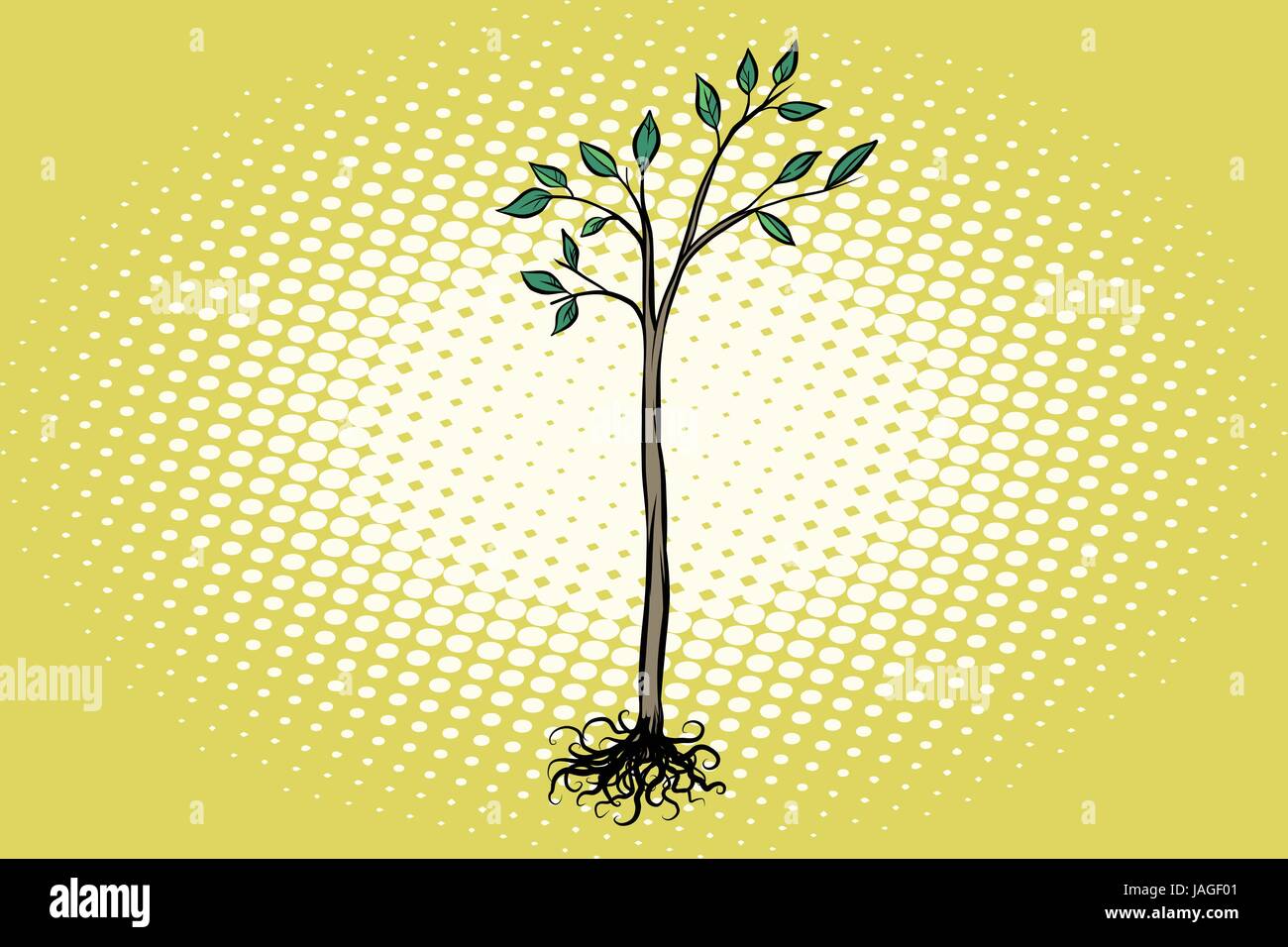 Tree Seedling Vector Seedling vector vectors hi-res stock photography and images - Alamy