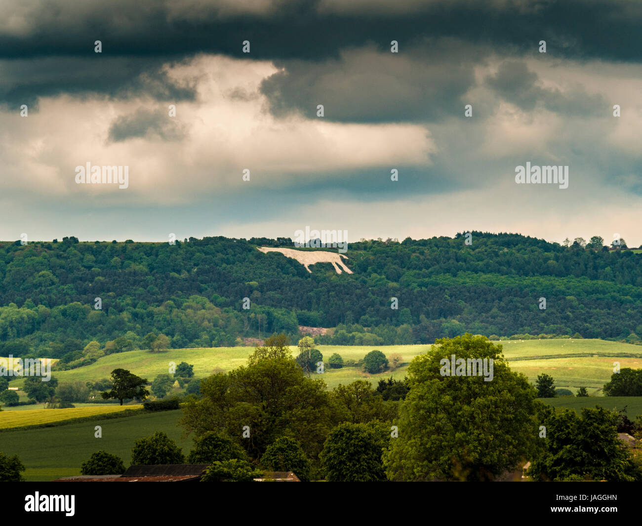 The White Horse, North Yorkshire, UK Stock Photo Alamy