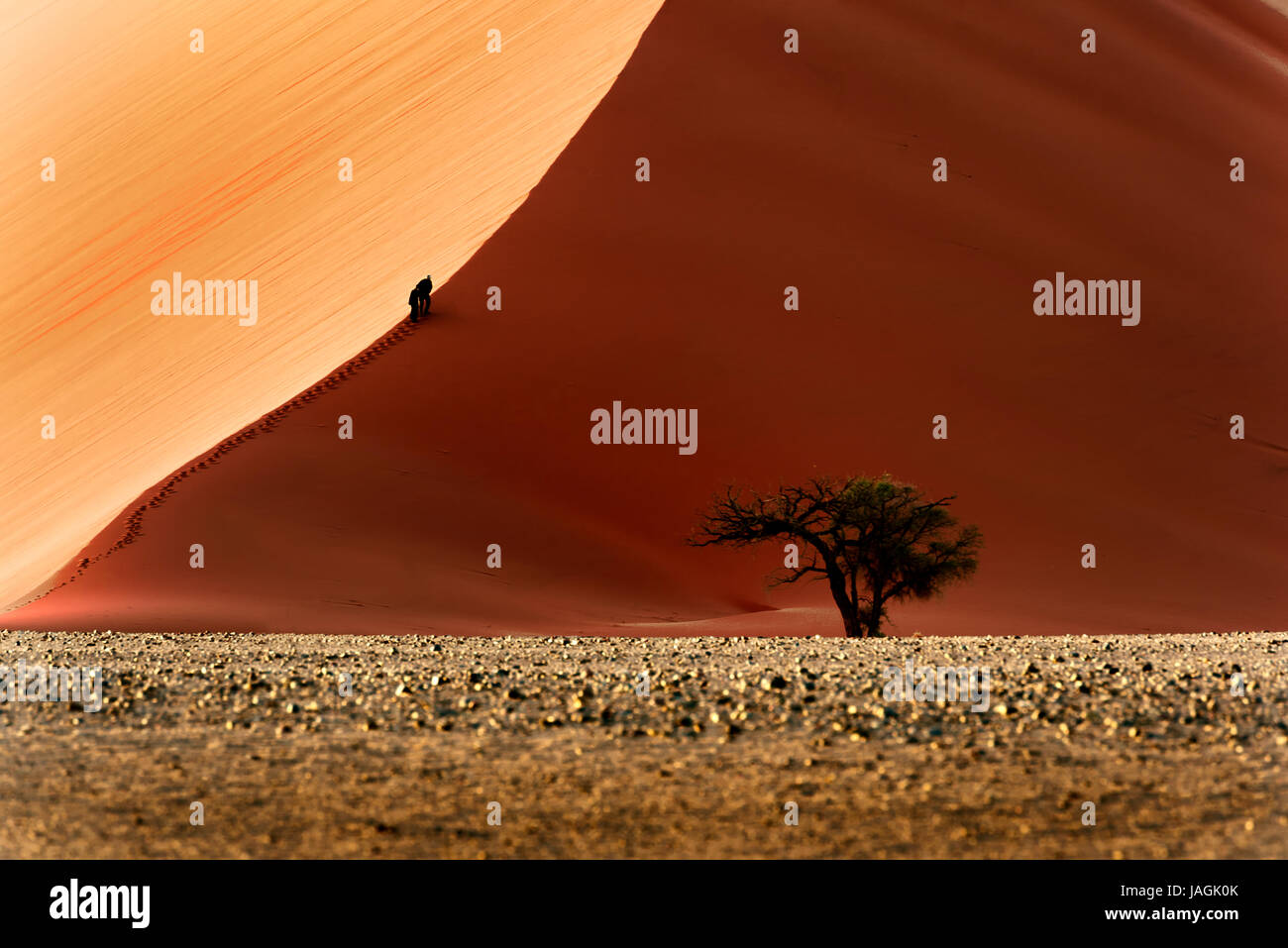 A couple began to ascend one of dunes of Namibia’s Sossosvlei National Park. Stock Photo