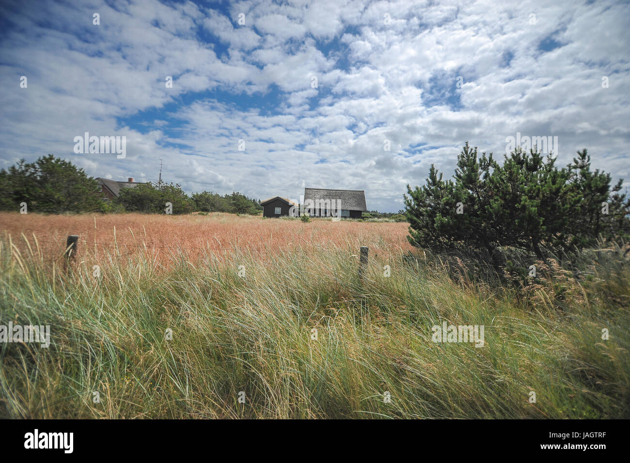Beautiful landscape of Blavand, Denmark Stock Photo - Alamy