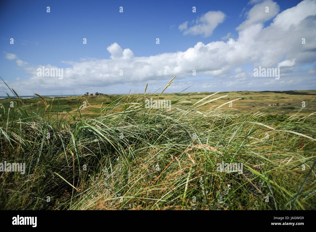 Beautiful landscape of Jutland, Denmark Stock Photo