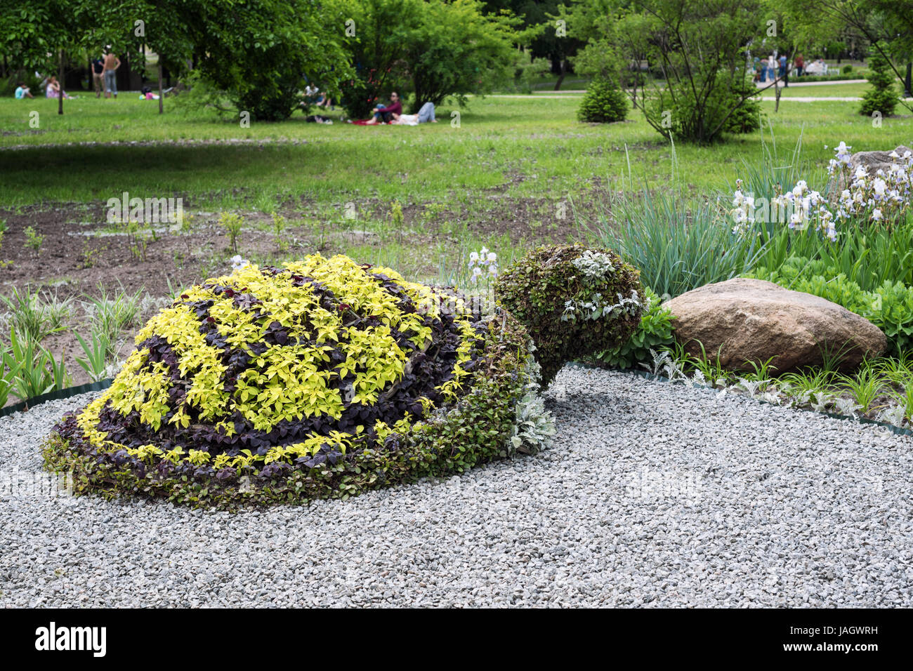 Turtle shaped bush in a topiary garden. Ornamental park garden design. Stock Photo