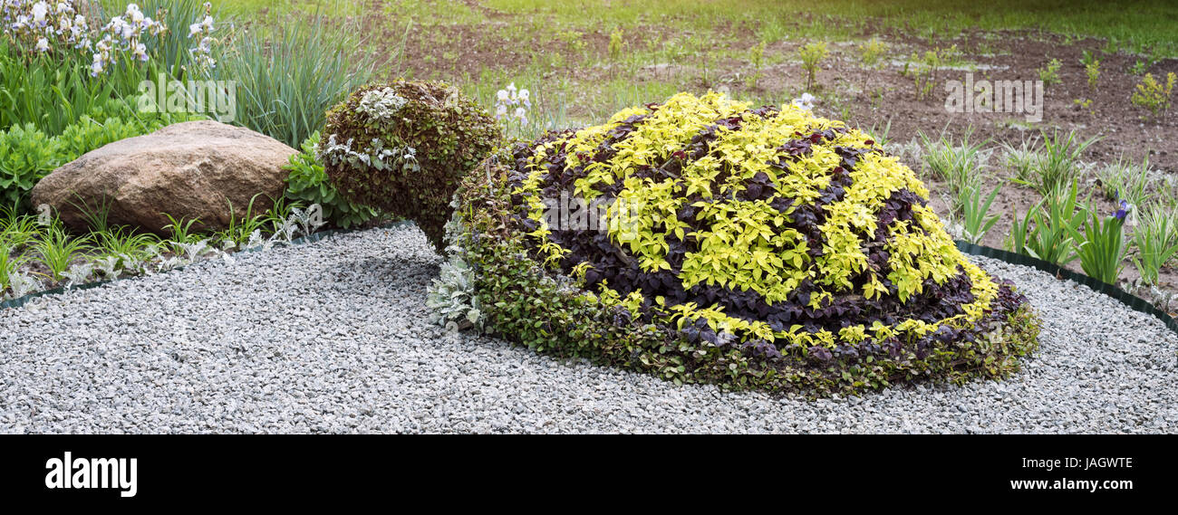 Turtle shaped bush in a topiary garden. Ornamental park garden design. Banner for website. Stock Photo