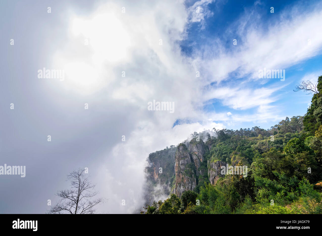 Kodaikanal pillar hi-res stock photography and images - Alamy