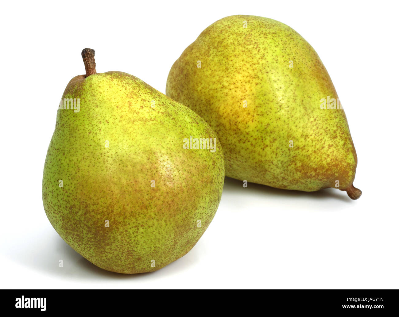 Cultural pear,Pyrus communis,foetus,white background, Stock Photo
