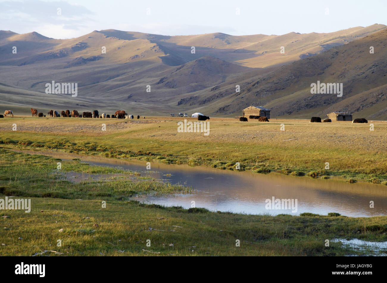 Mongolia,Central Asia,Ovorkhangai province,historical Orkhon valley,UNESCO world heritage,Orkhon flux,steelworks,animals,put out to pasture, Stock Photo
