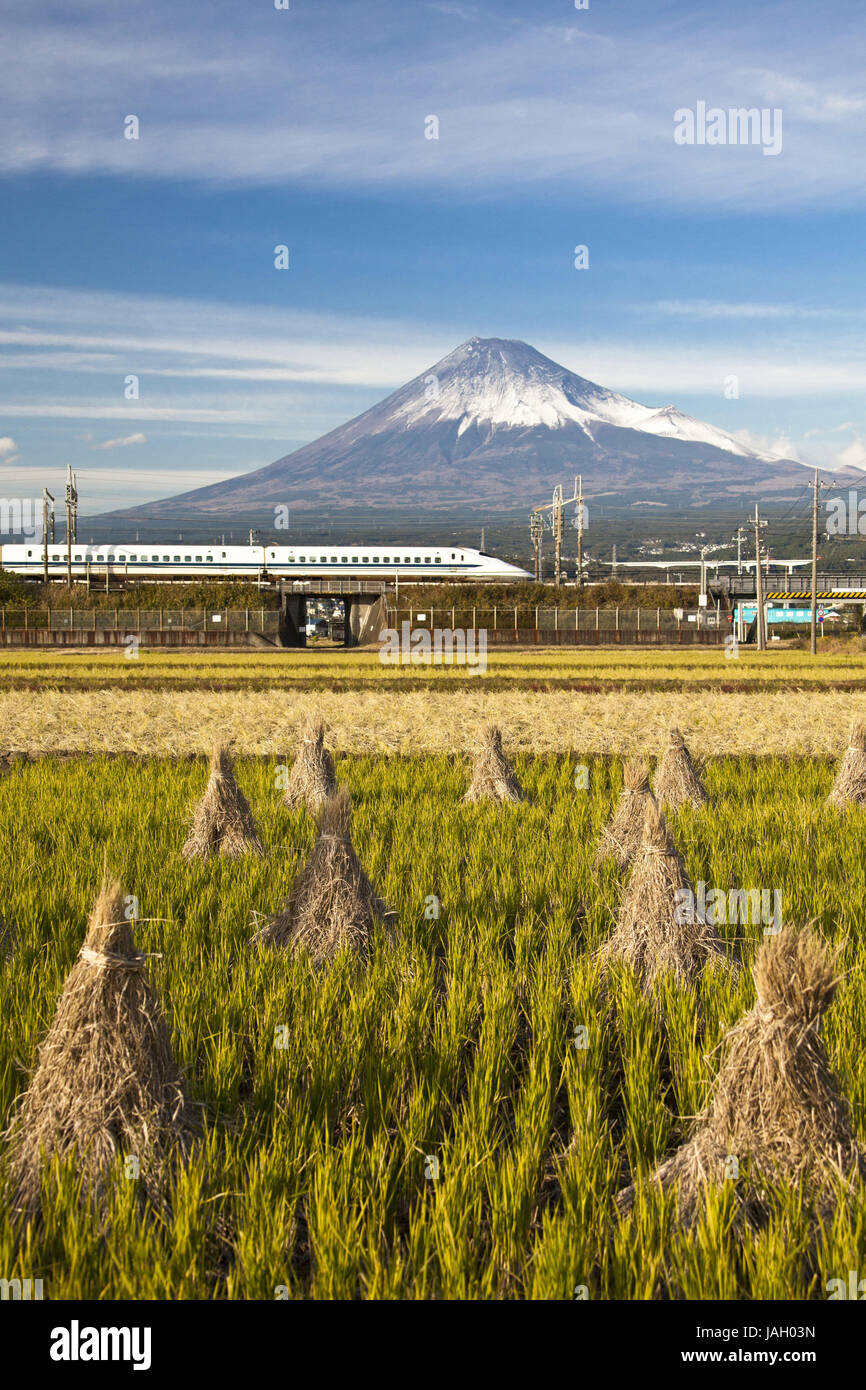 Japan,Fuji town,field,high-speed train Shinkansen,Mount Fuji, Stock Photo