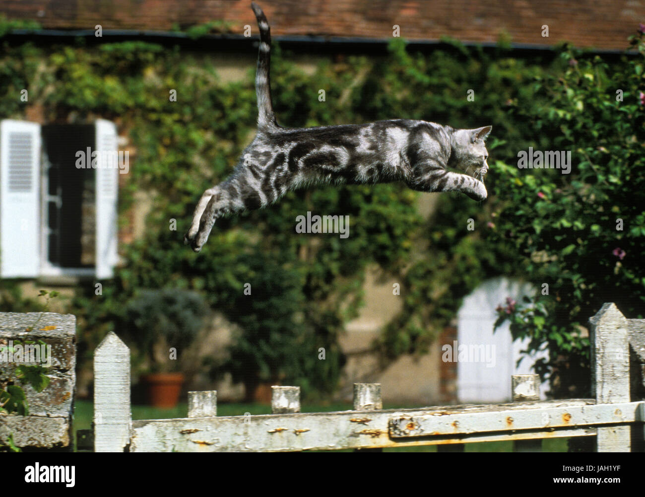 Whole in fence hires stock photography and images Alamy