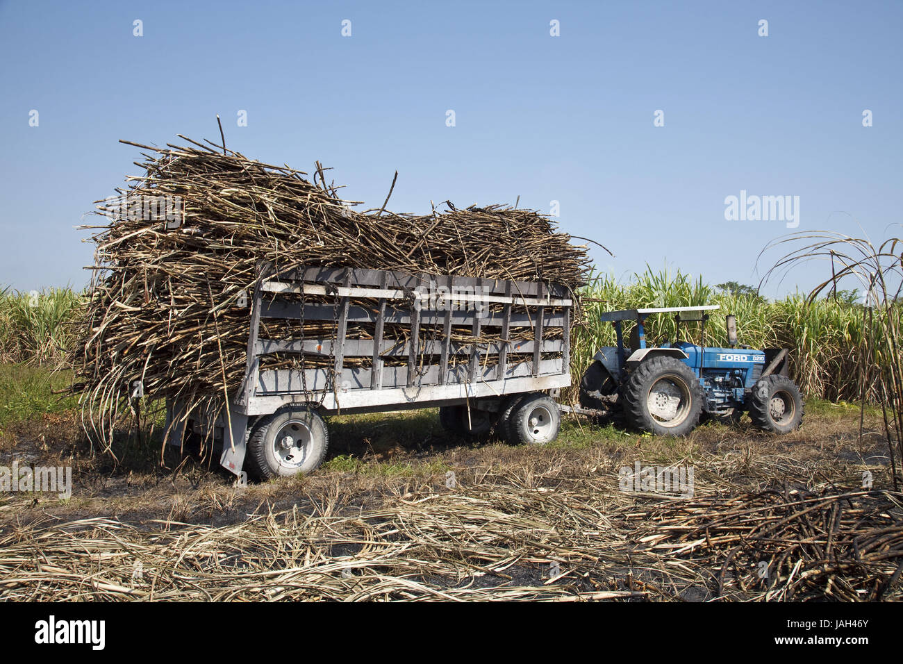 Belize,orange Drumming District,tractor,trailer,sugarcane,transport,Fairtrade, Stock Photo
