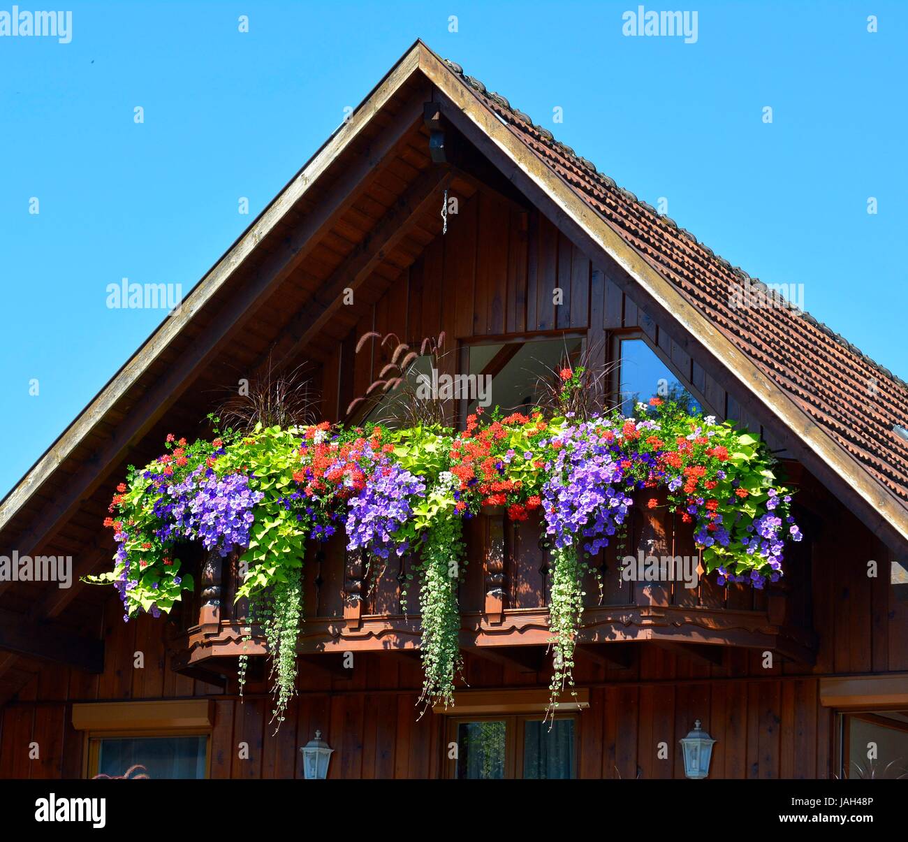 Schwarzwald, Holzhaus in Oberharmersbach, verschiedene Blumen auf dem Balkon  Stock Photo - Alamy