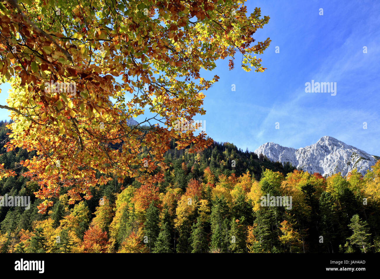 Austria,Tyrol,Karwendelgebirge,fissure valley, Stock Photo