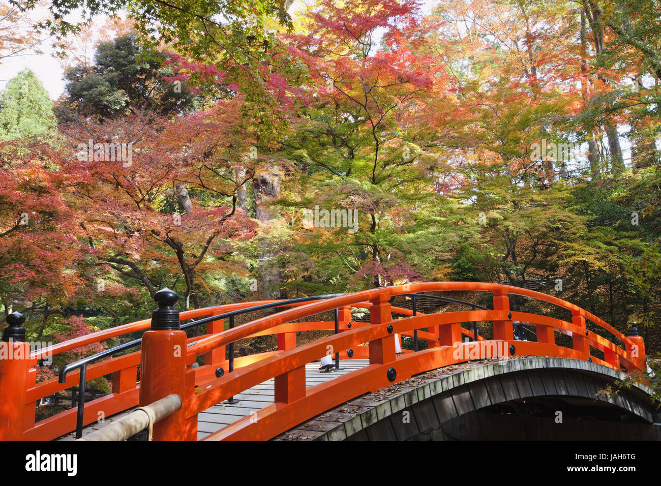 Japan,Kyoto,Kitano Temmangu shrine,garden,bridge,trees,maple,autumn, Stock Photo