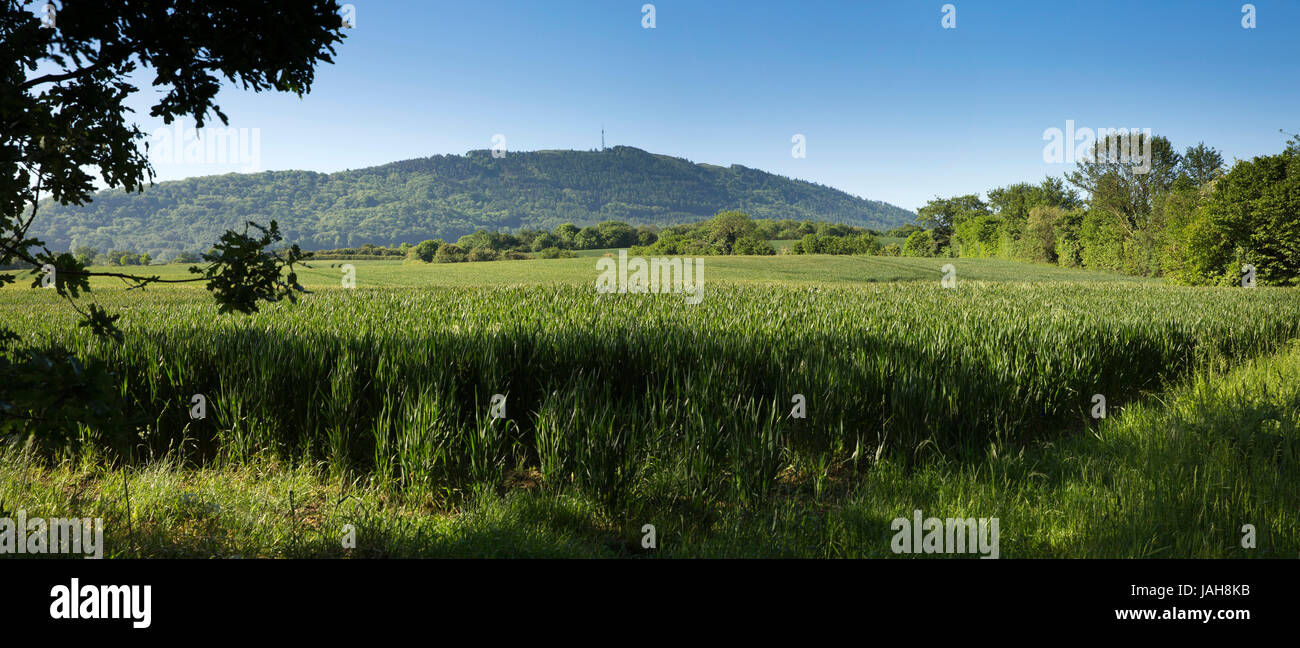 UK, England, Shropshire, Wrockwardine, The Wrekin from farmland