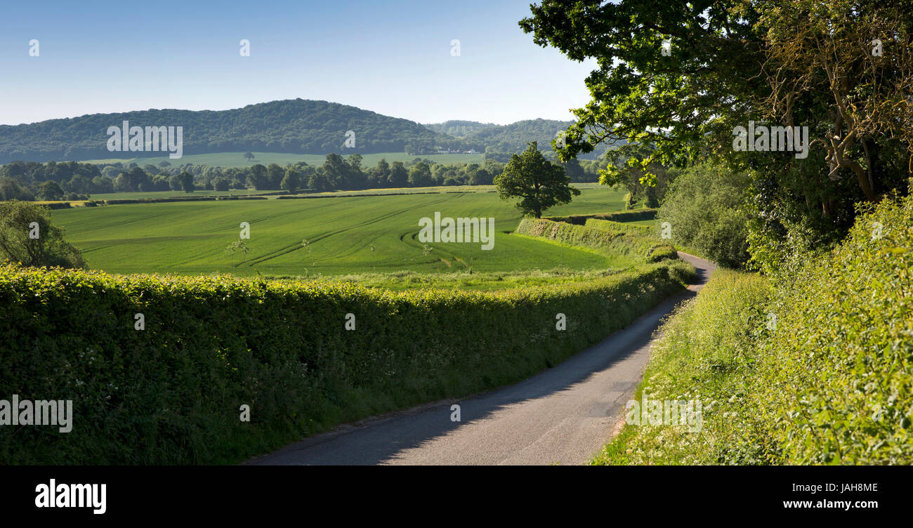UK, England, Shropshire, Wrockwardine, Ercall Hill from small country