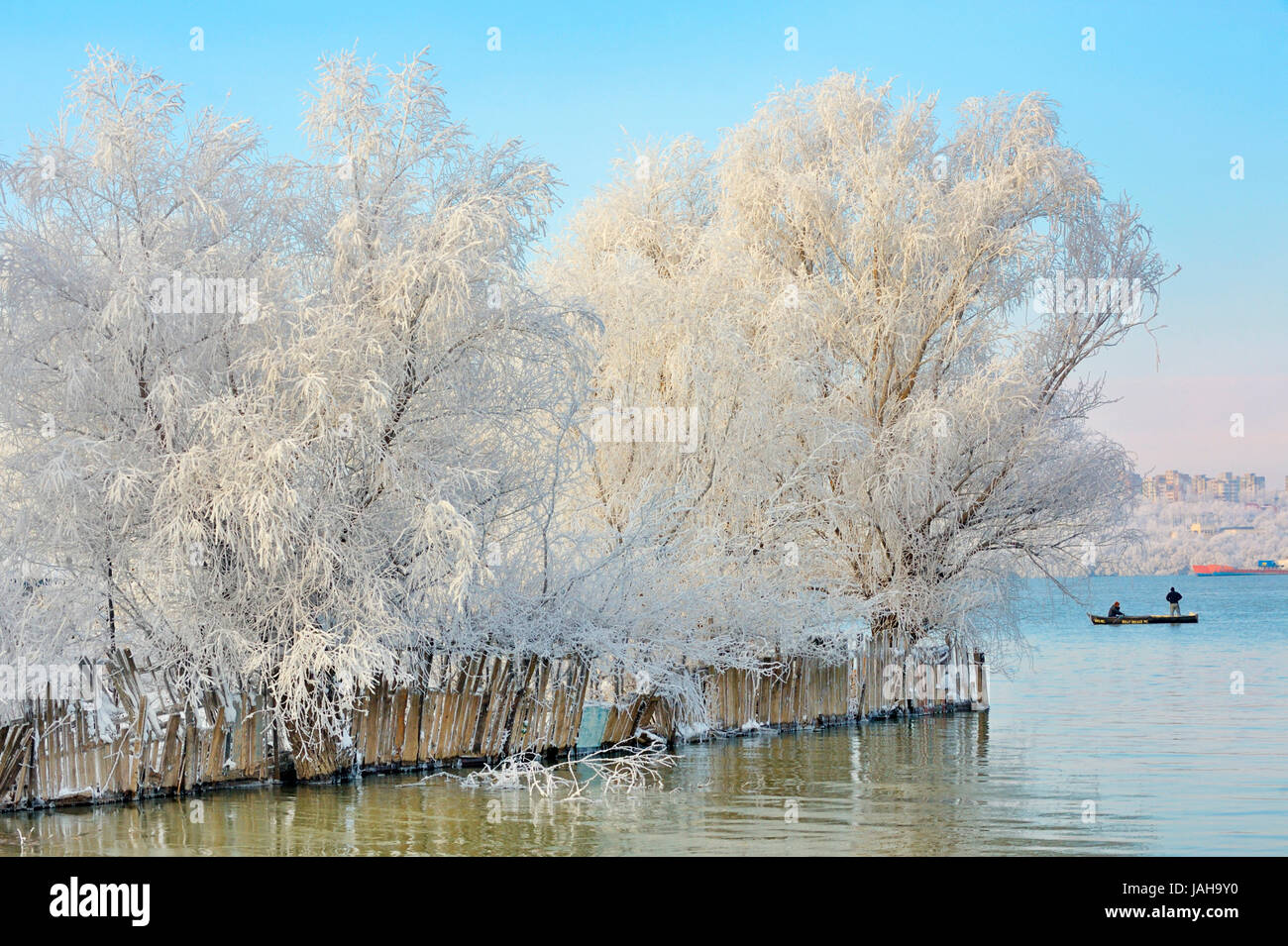 winter trees covered with frost Stock Photo - Alamy