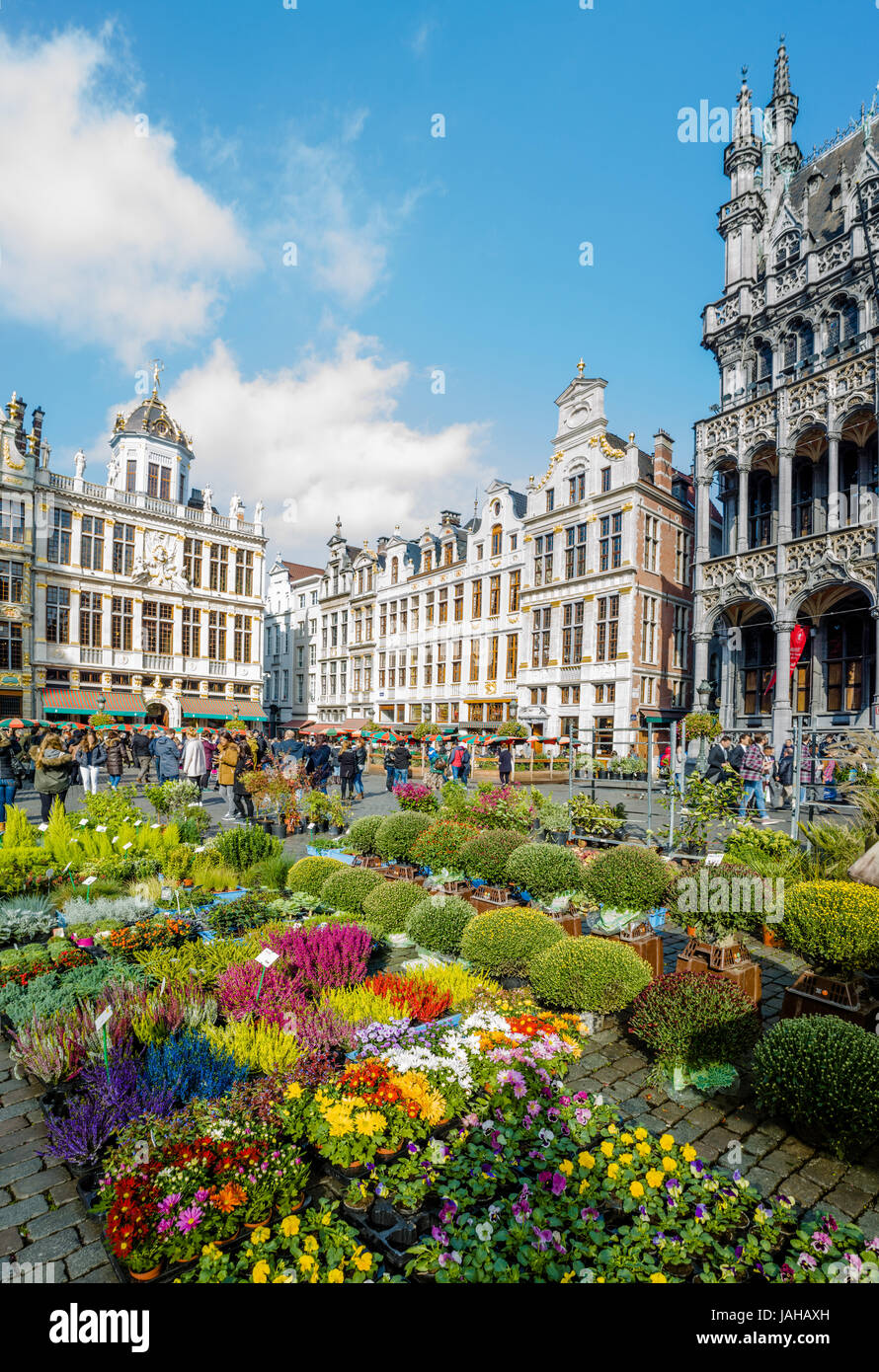 Flowers on Grand Place, Grote Markt in Brussels, Belgium Stock Photo