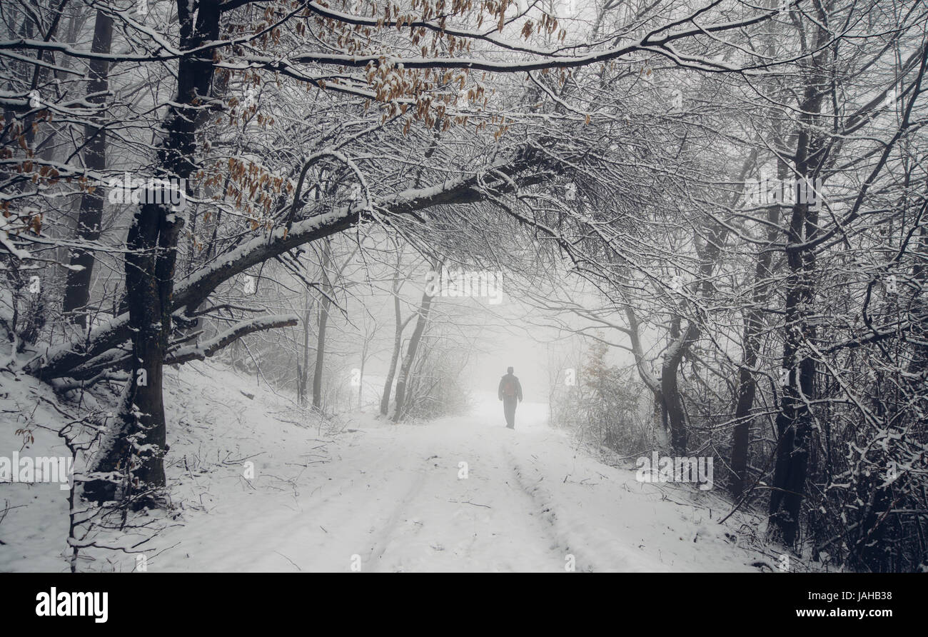 fantasy woods in winter, man walking on snowy forest road Stock Photo