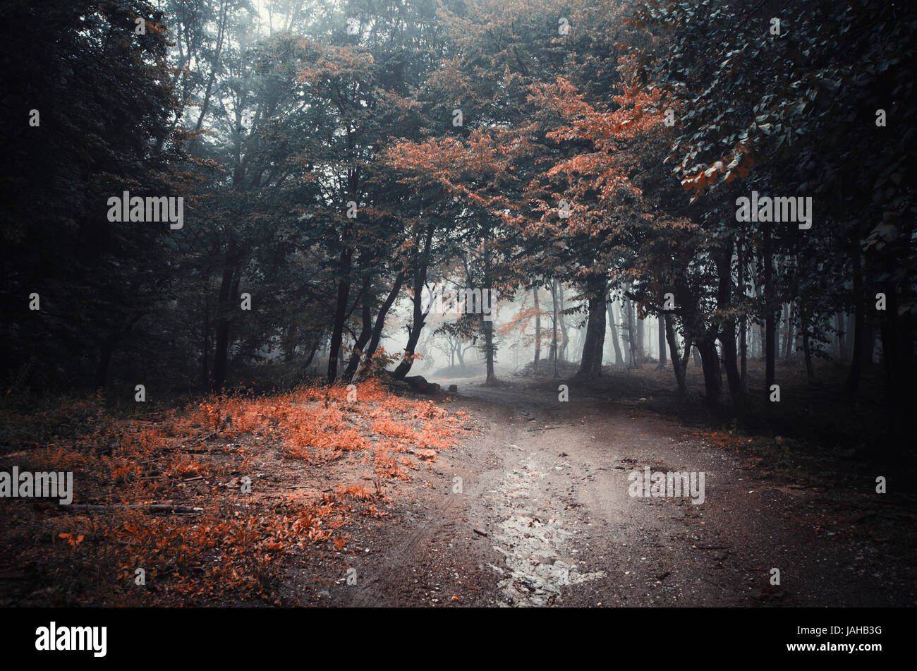 Surreal autumn forest landscape. Road through misty forest fantasy scenery Stock Photo