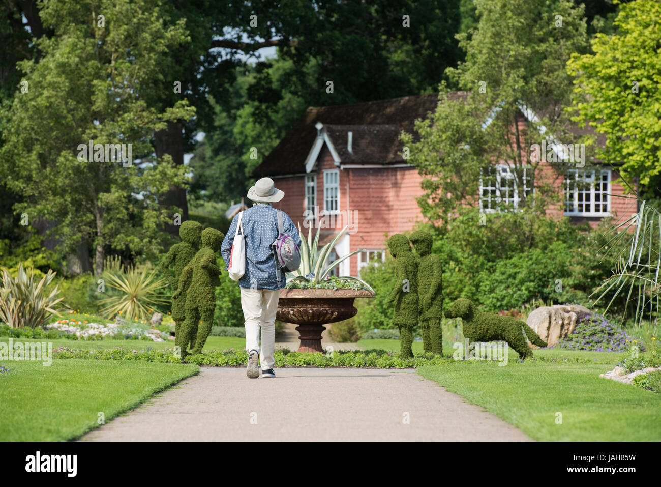 Woman walking towards Enid Blyton's Famous Five hedge sculptures at RHS Wisley Gardens, Surrey, England Stock Photo