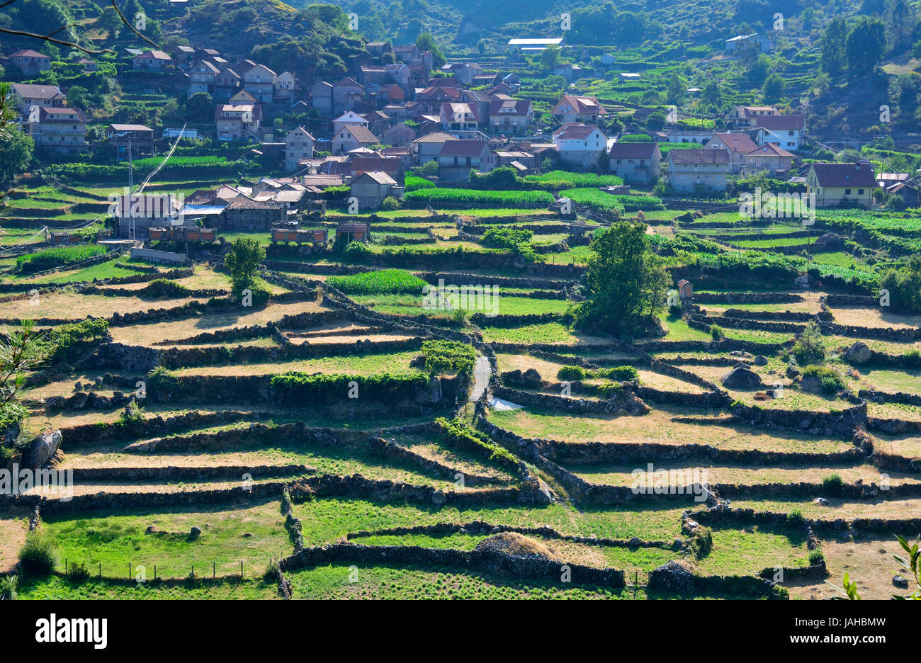 The agricultural fields of the medieval village of Roussas. Peneda Geres National Park. Portugal Stock Photo