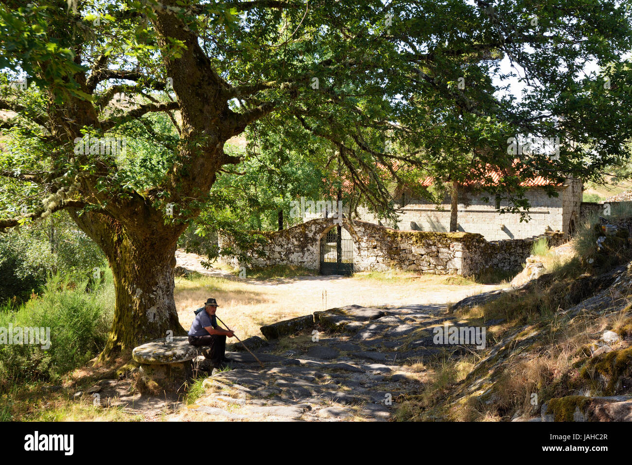 A shepherd underneath the sacred oak at the Monastery of Santa Maria das Júnias, dating back to the 9th century. Peneda Gerês National Park, Portugal Stock Photo