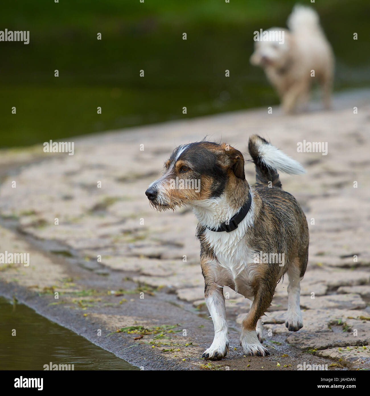 Anderer High Resolution Stock Photography and Images - Alamy