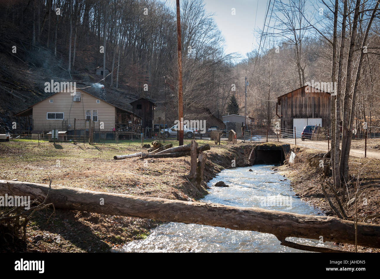 The hollow in West Virginia where Daniel J. Estep lives is the heart of
