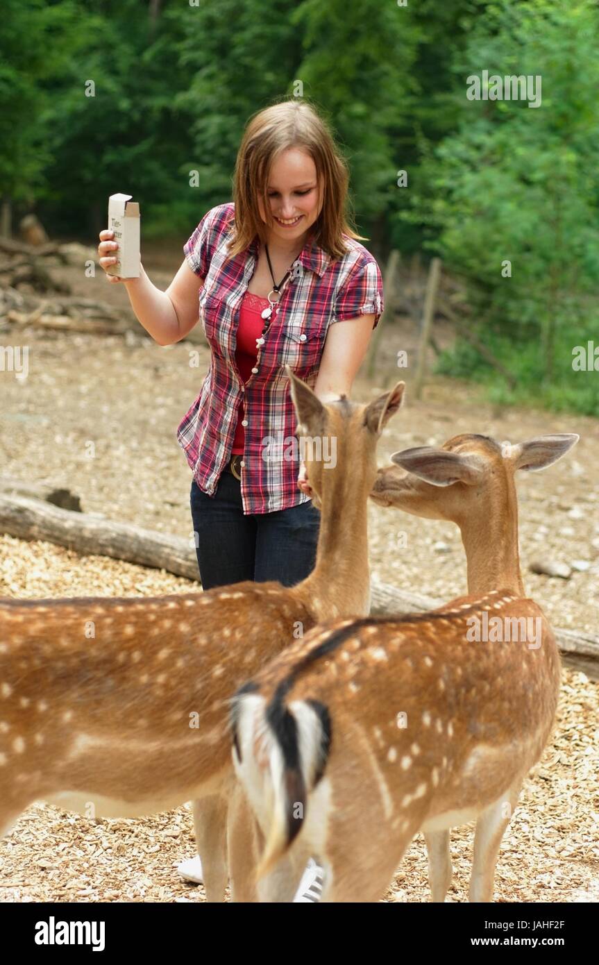 Frau füttert in einem Wildpark ein junges Reh Stock Photo