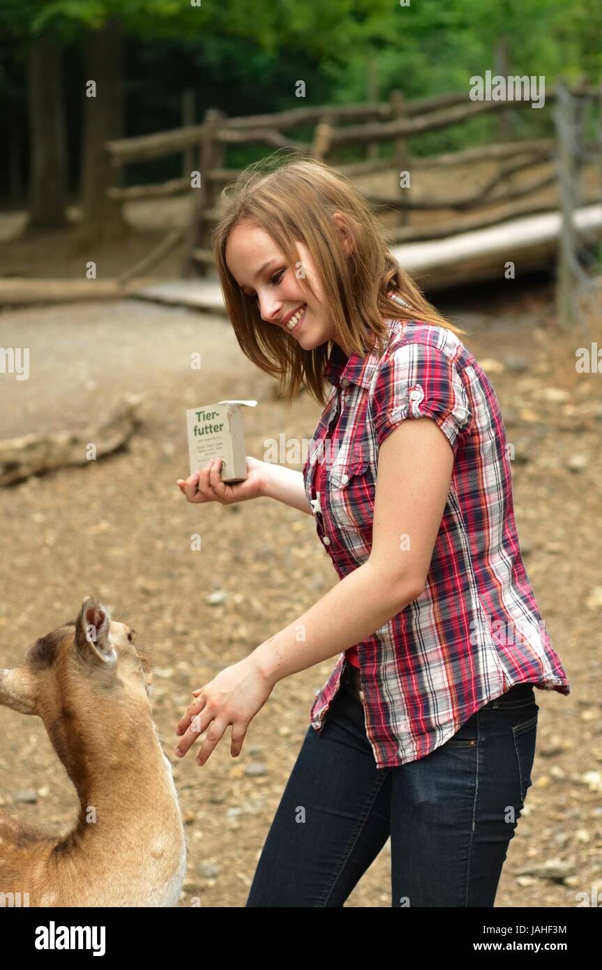 Frau füttert ein Reh mit Tierfutter im Wald Stock Photo