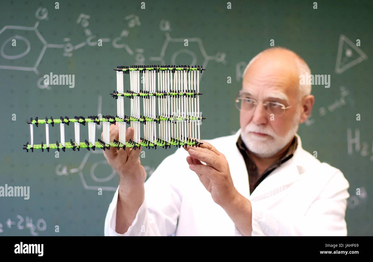 Professor untersucht ein Molekülmodel im Unterricht Stock Photo