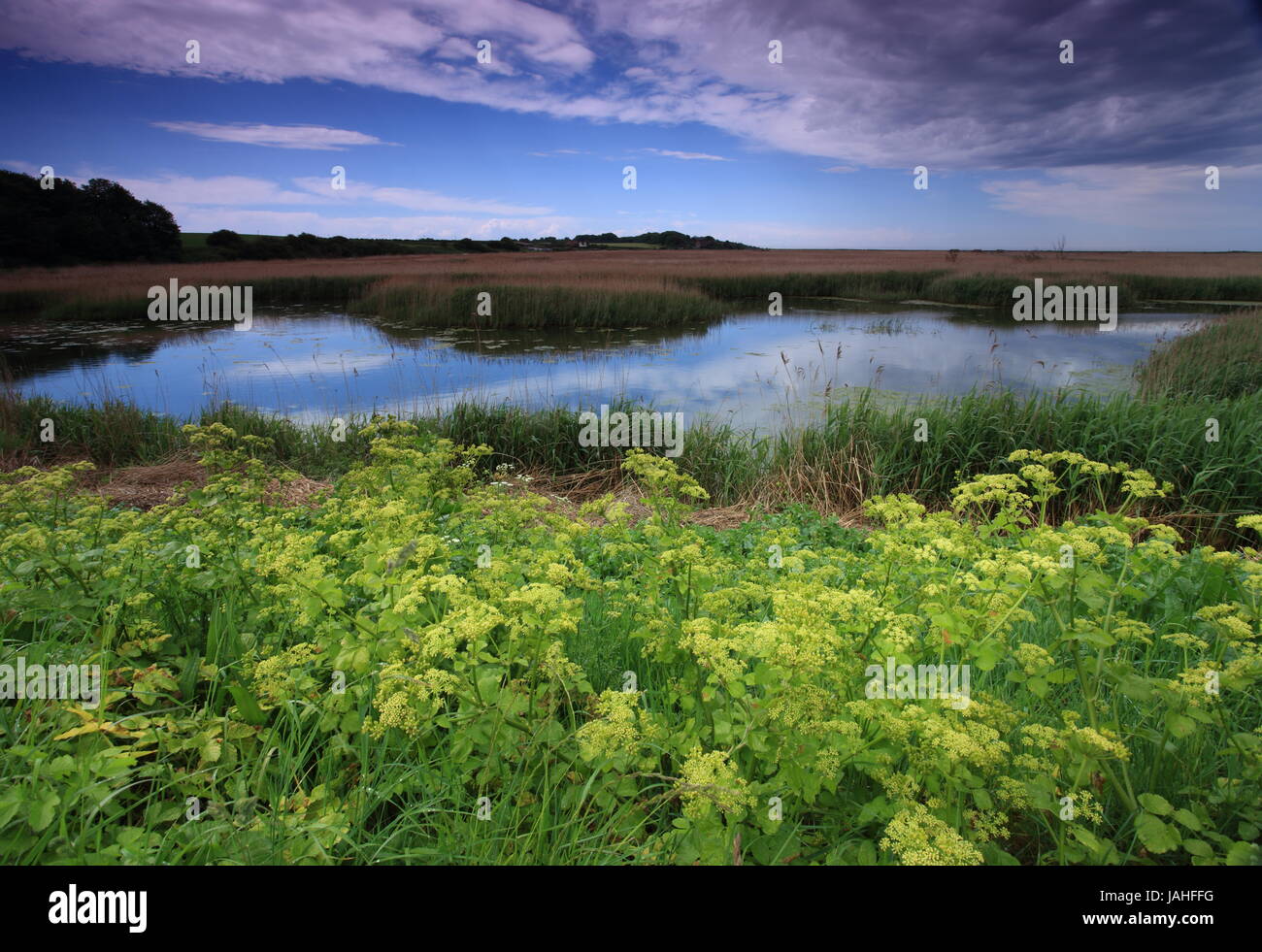 A view of Salthouse marshes nature reserve in North Norfolk Stock Photo