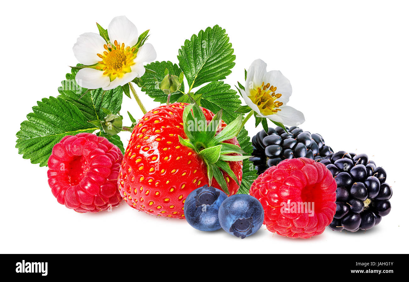 strawberry,raspberry,blackberry, bilberry, blueberries isolated on white background Stock Photo