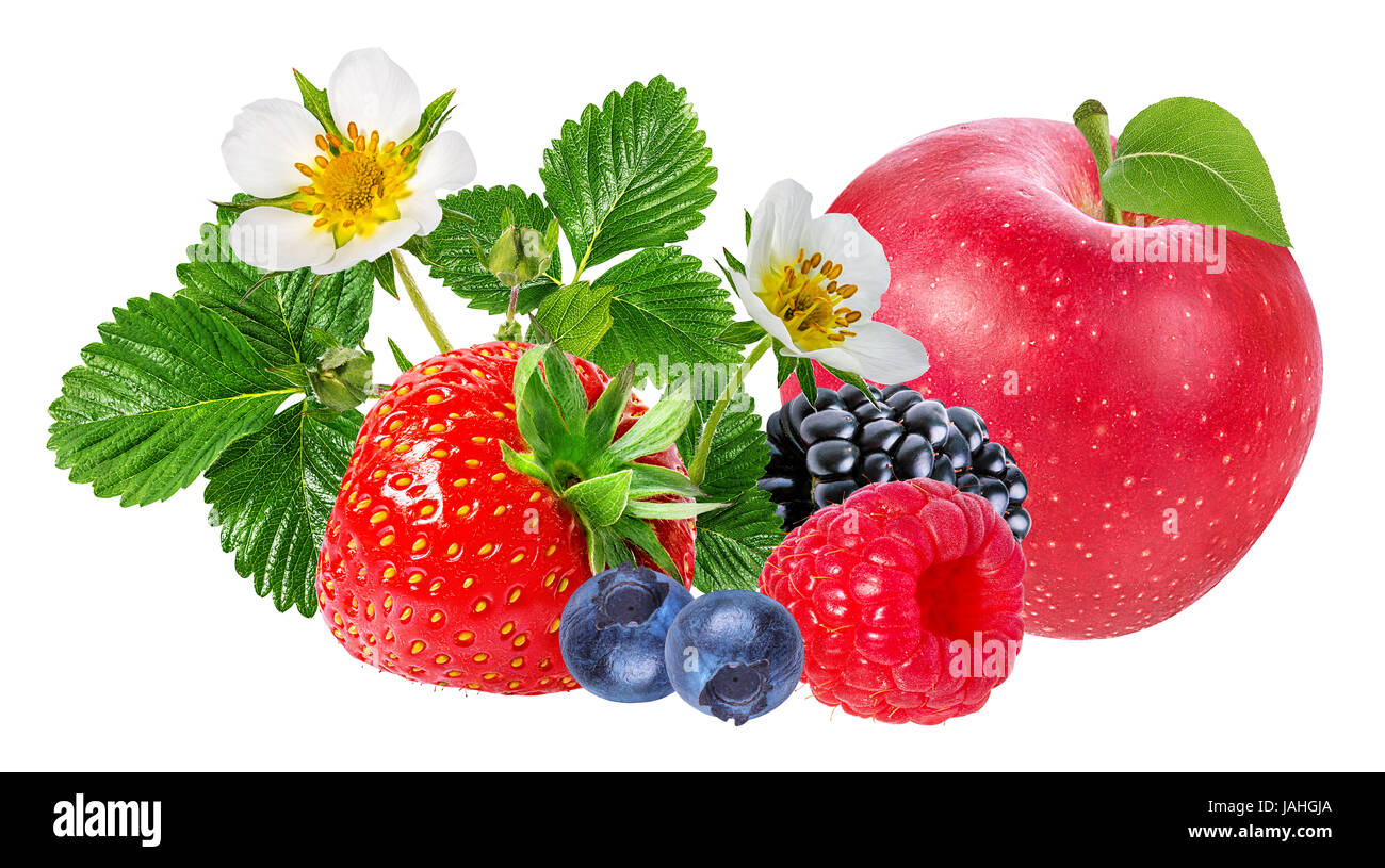 strawberry,apple,raspberry,blackberry, bilberry, blueberries isolated ...