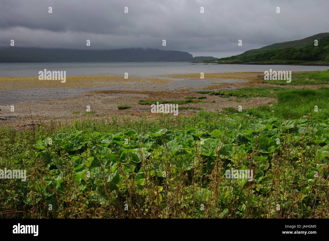 Bad weather over Loch na Keal, Mull Stock Photo Alamy